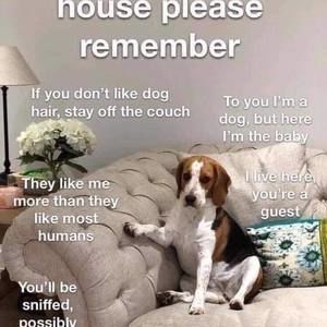 Meet your Posher, Michele